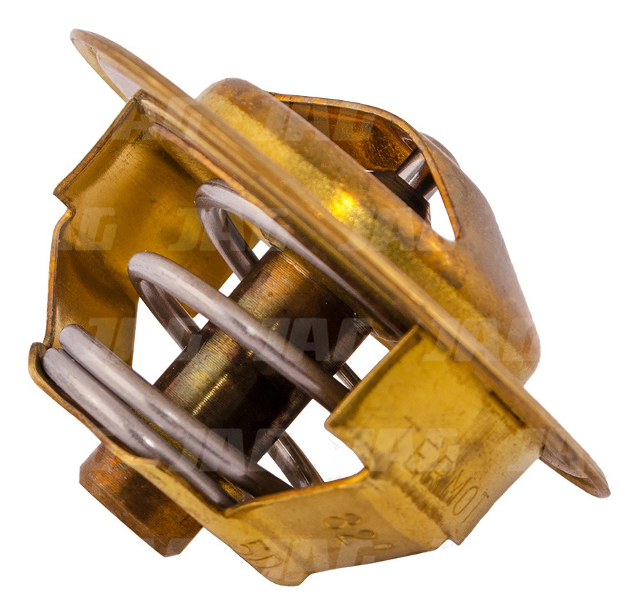 2485C021 Termostat