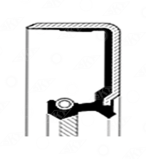 412189-S Uszczelniacz SKT, CASE IH 3138701R91 1966693C1