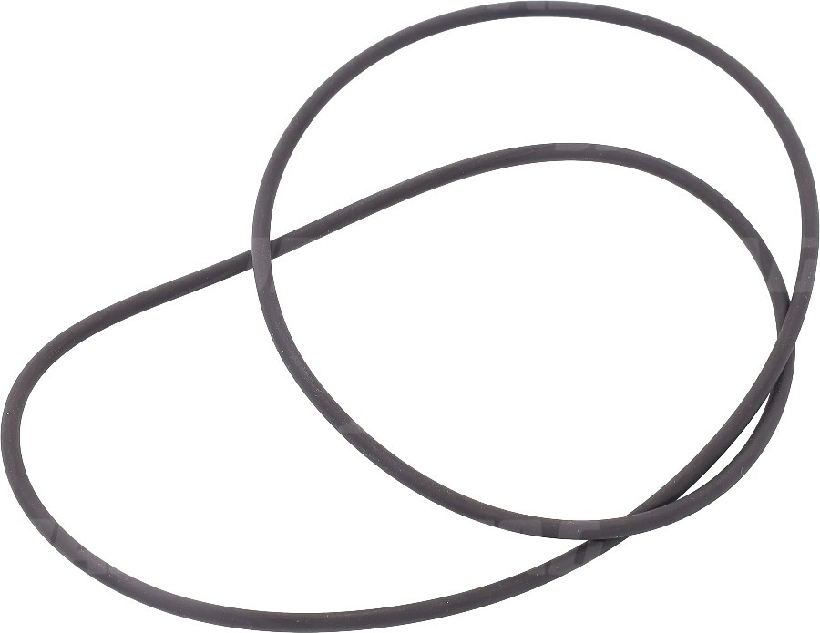 L40317 Oring piasty, JOHN DEERE L40317 DEUTZ FAHR 01166191