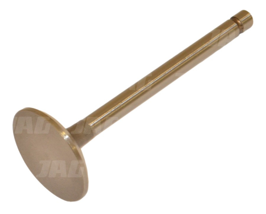 1884123M1 Zawór ssący