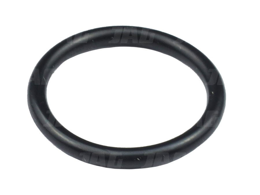212251 Oring Oryginał CLAAS