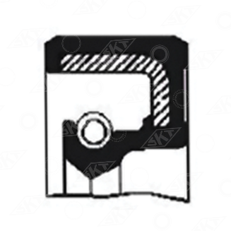 45405 Uszczelniacz SKT, CARRARO 025193 JOHN DEERE ER025193