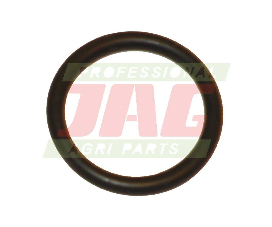 238677.1 Pierścień oring Orginal Claas