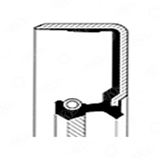 412189-V Uszczelniacz SKT, CASE IH 3138701R91 1966693C1