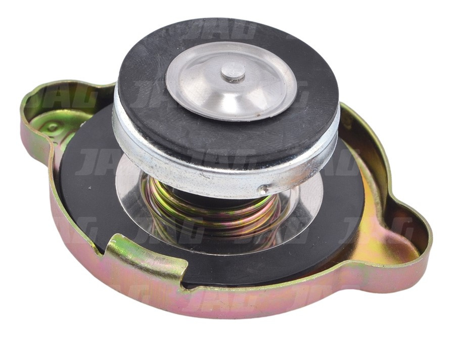 3134146R1 Korek chłodnicy