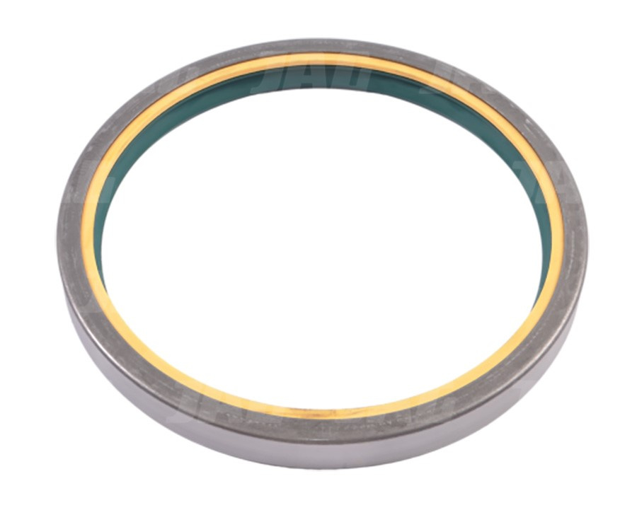 420069-NK Uszczelniacz SKT, CARRARO 30199660X1 MASSEY FERGUSON 3019960