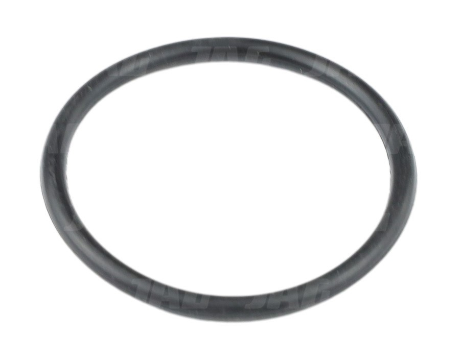 25x2 Oring