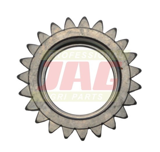 247551A1 Zębatka