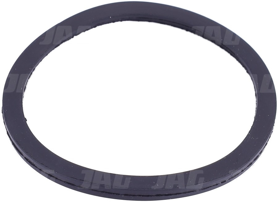 R521548 Uszczelniacz termostatu, JOHN DEERE R521548