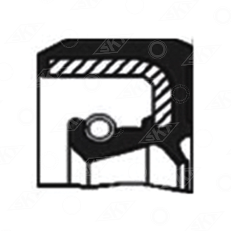 47545 Uszczelniacz SKT, CARRARO 025942 CORTECO 12000259