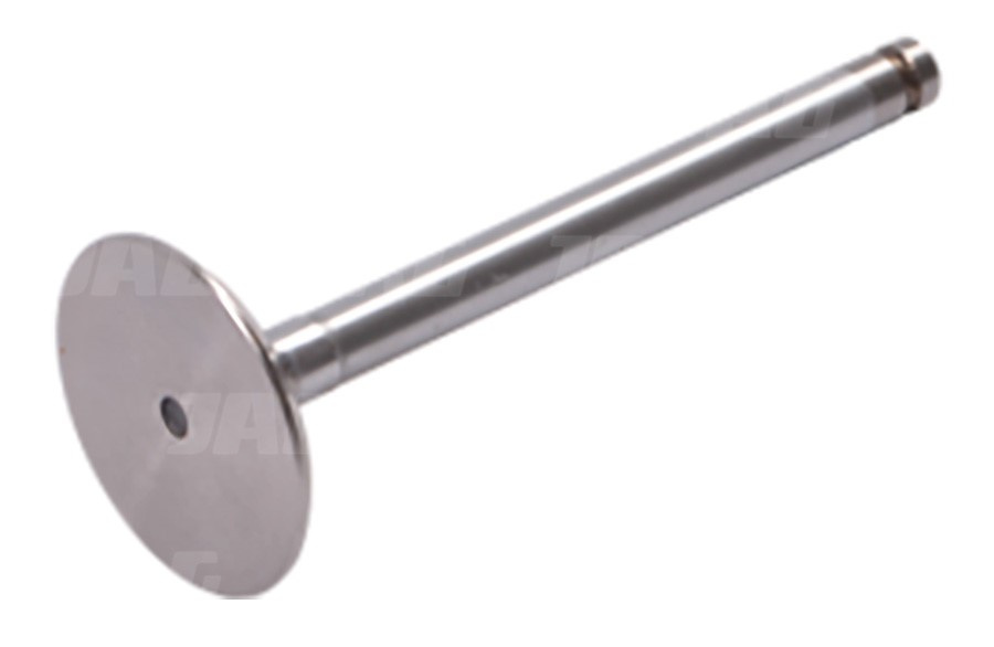 JAG99-0166 Zawór ssący