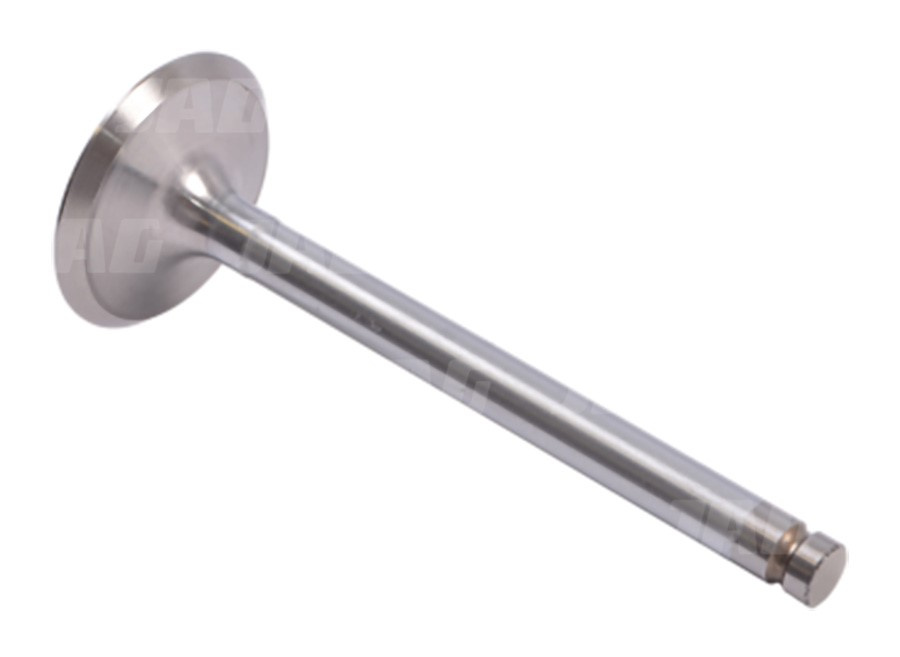 JAG99-0166 Zawór ssący