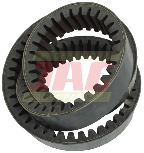 AP1004897 Pas Optibelt Agro Power