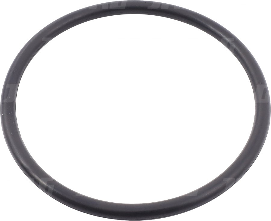751003 Oring JAG