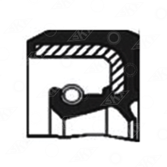 40805 Uszczelniacz SKT, CARRARO 025286 6077507