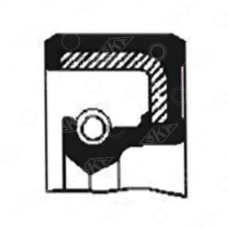 45199 Uszczelniacz SKT, CORTECO 19032636 MASSEY FERGUSON 195503