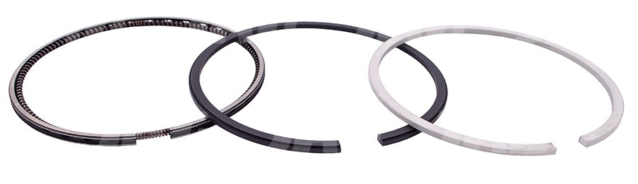 JAG99-0130 Pierścienie tłokowe NE Germany