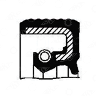 46000 Uszczelniacz SKT, CARRARO 025317 LANDINI 44908432