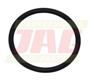 213386 Oring Oryginał CLAAS