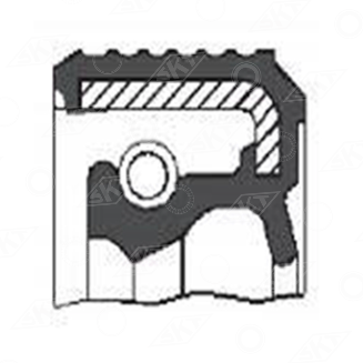 412272 Uszczelniacz SKT, CLAAS 0002126400 CORTECO 12011057B