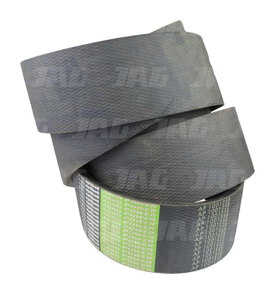 AP1001258 Pas Optibelt Agro Power