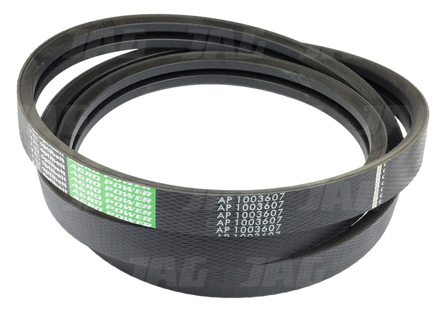 AP1003607 Pas Optibelt Agro Power