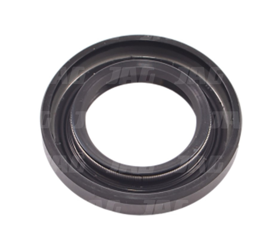 40805 Uszczelniacz SKT, CARRARO 025286 6077507