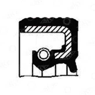 45934 Uszczelniacz SKT, CLAAS 0002146270 CASE IH 02125760