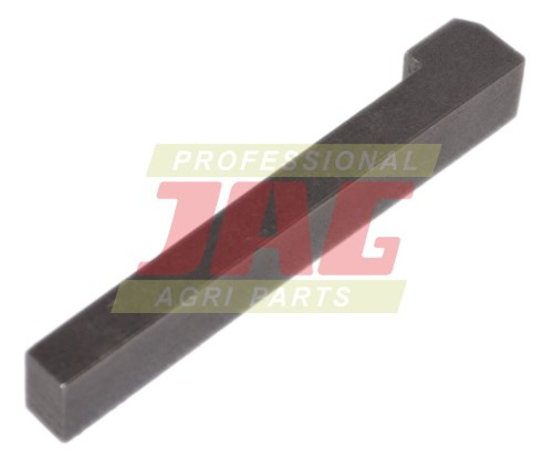 JAG08-0520 Klin noskowy