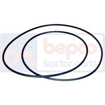 1610179M5 Oring, MASSEY FERGUSON 1610179M5