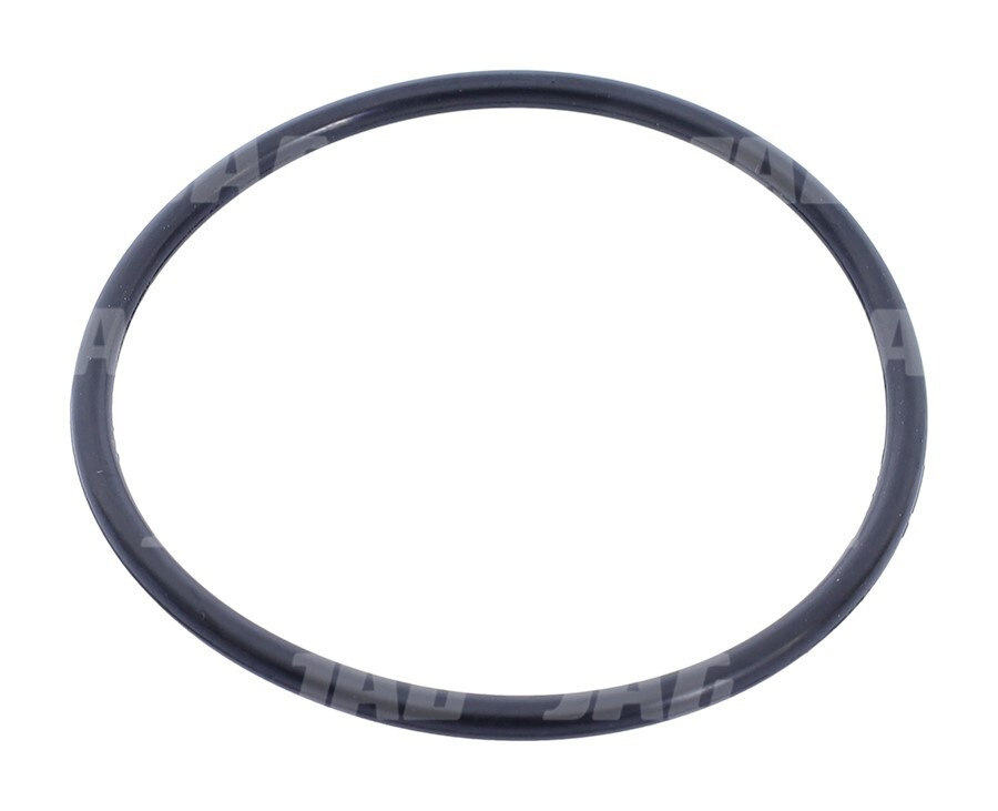656306 Oring JAG