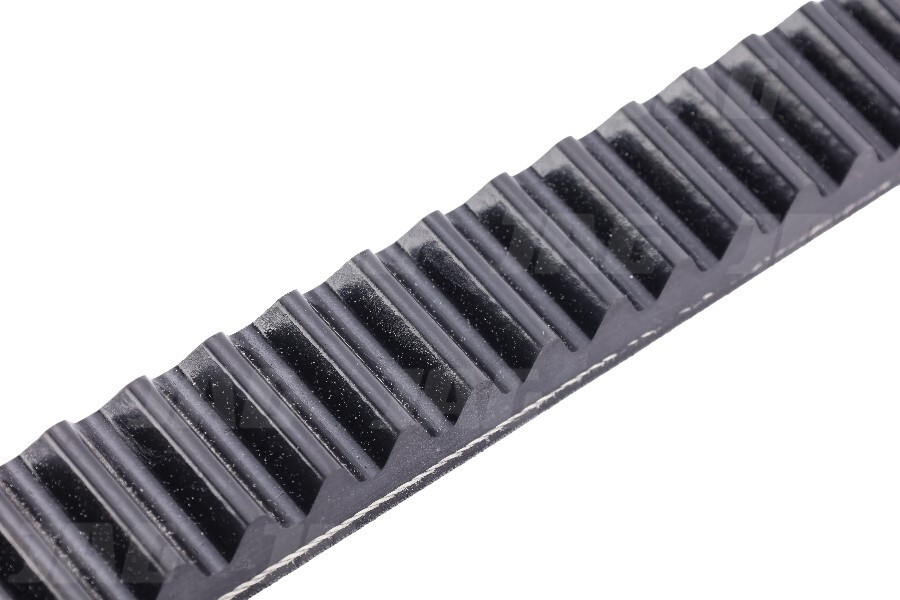 301.445X Pas wariatorowy CONTINENTAL AGRIDUR, AGCO 621320M2 CNH F13212
