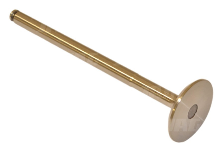 3040361R1 Zawór ssący, CASE IH 3040361R1 704434R1