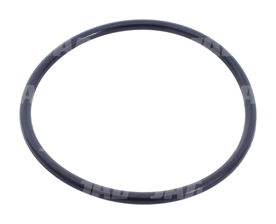 656306 Oring JAG