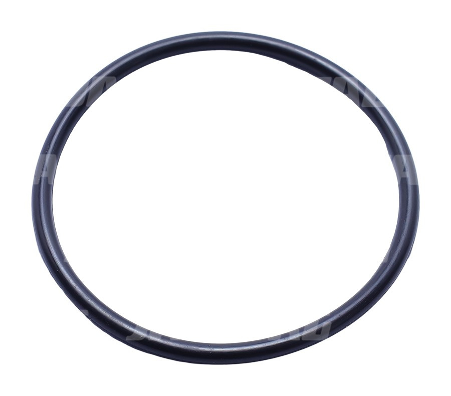 239116 Oring JAG