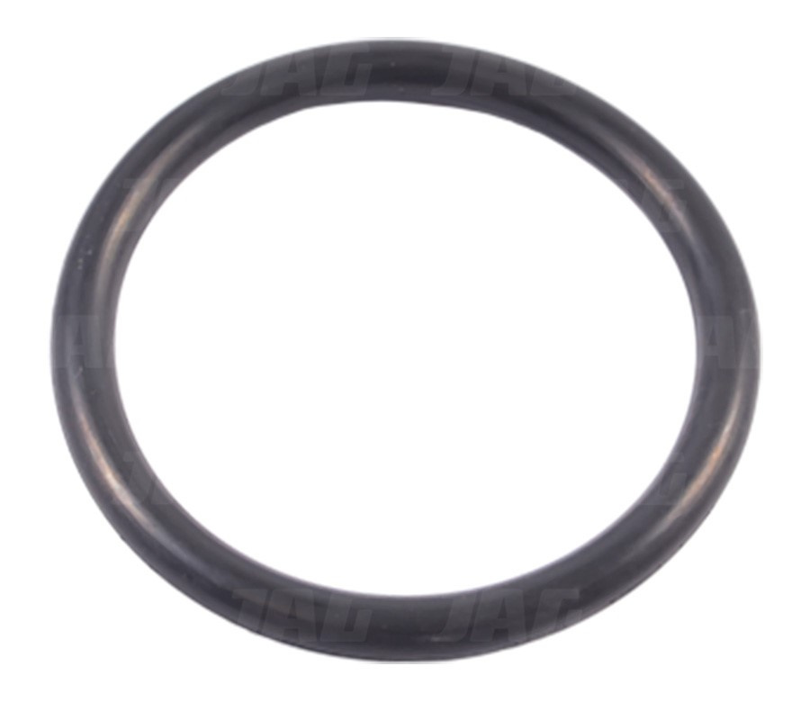 633231 Oring Oryginał CLAAS