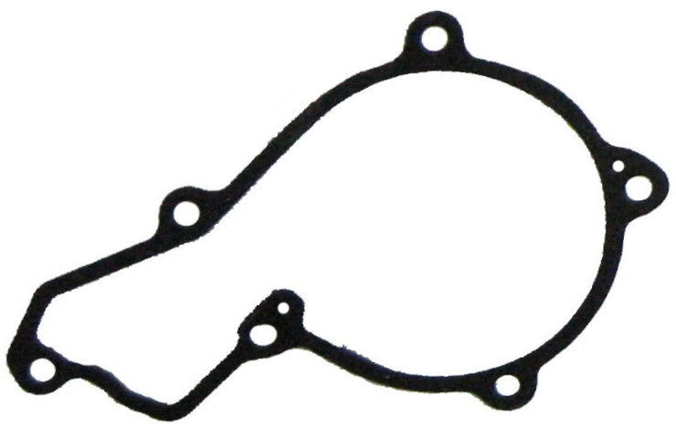 JAG99-1418 Uszczelka pompy wody, JOHN DEERE R504885 R119383
