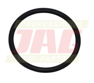 213386 Oring Oryginał CLAAS