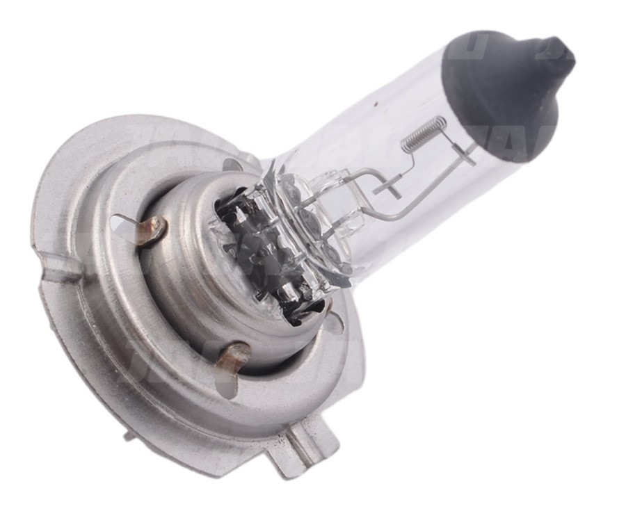 171077 Żarówka 12V H7, HC-CARGO 171077