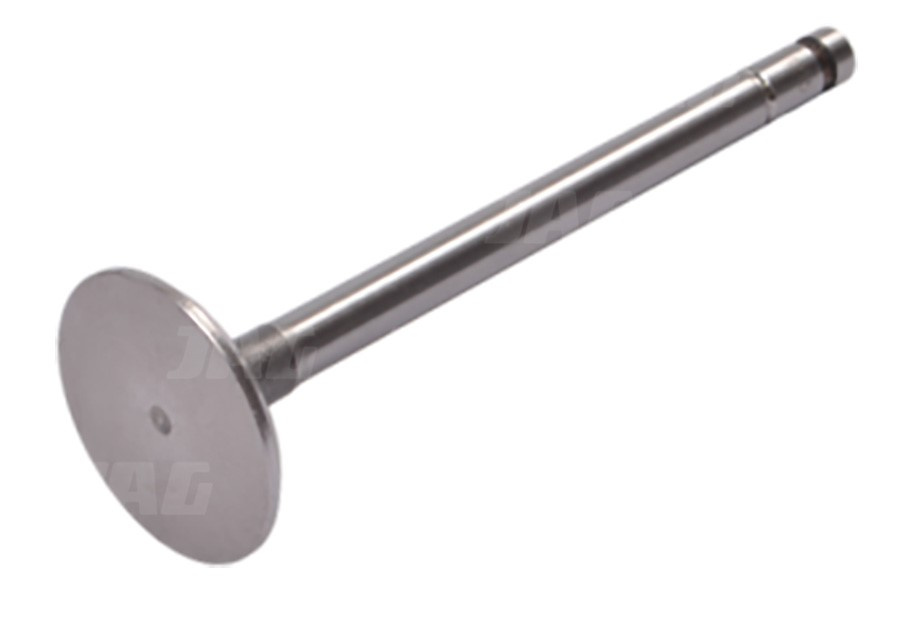 JAG99-0163 Zawór ssący 3639238M1