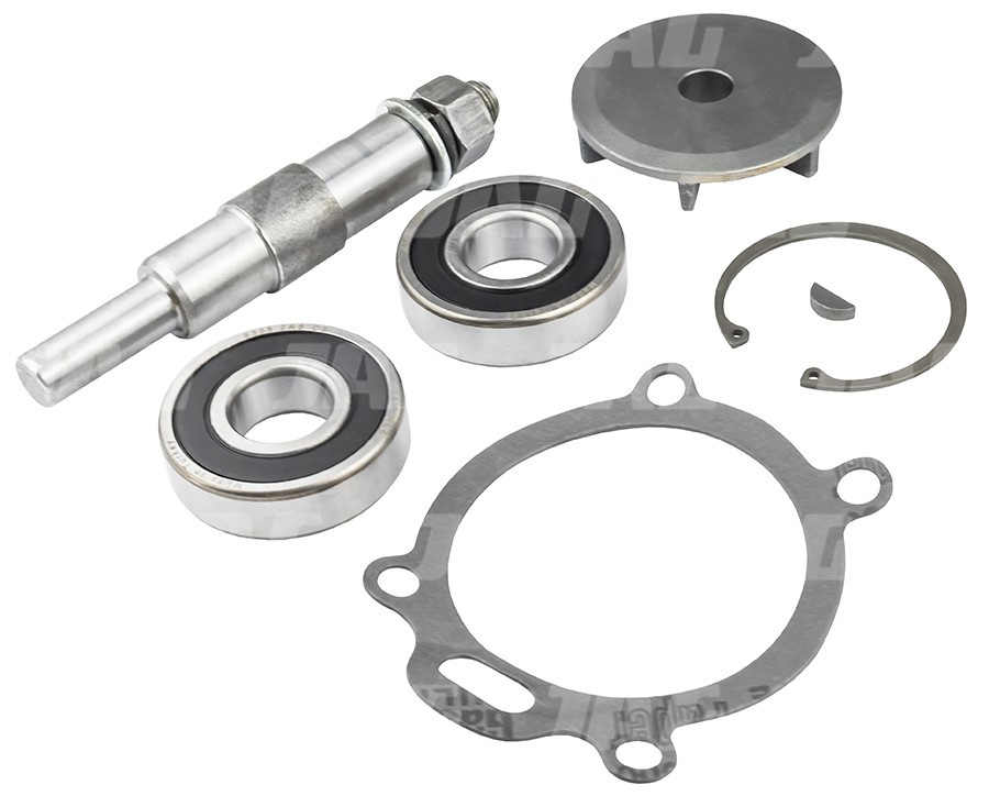 P70030 Zestaw naprawczy pompy wody