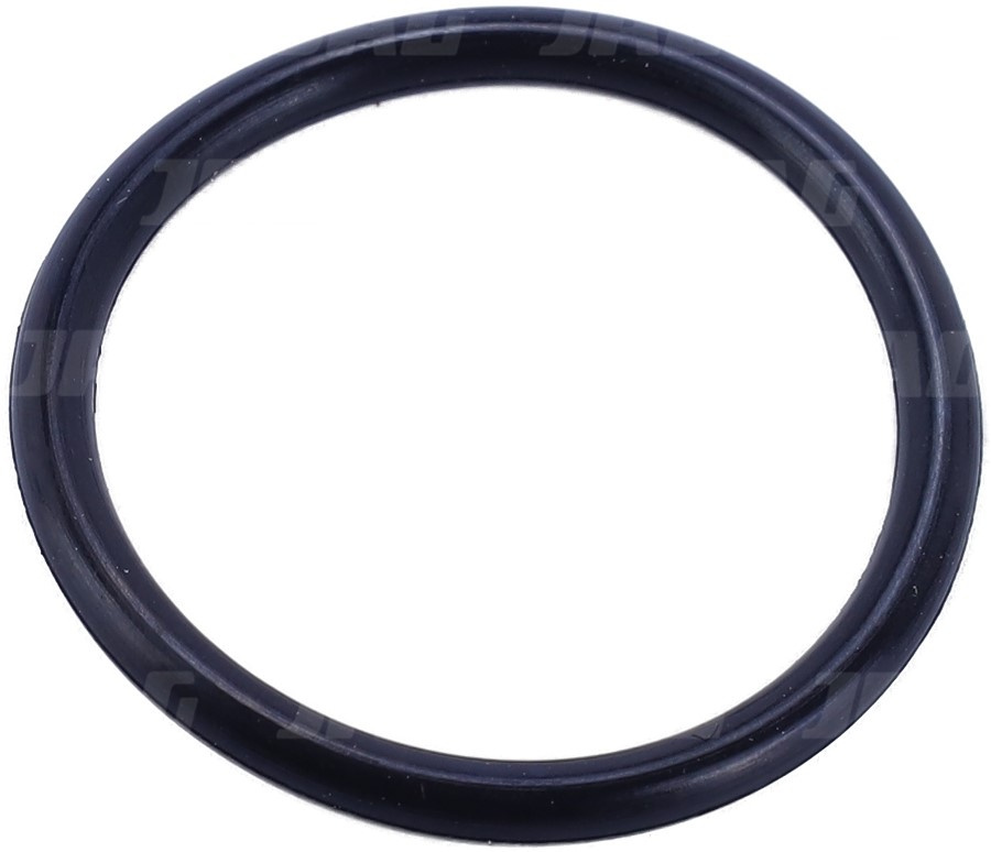 238353.0 Oring