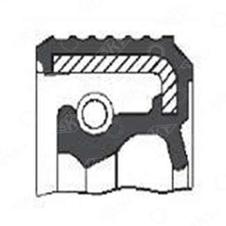 41165 Uszczelniacz SKT, CARRARO 025112 CORTECO 12010858