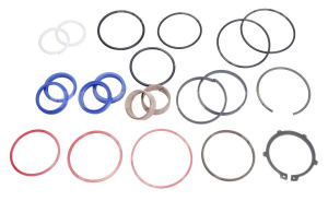 AL166294 Zestaw uszczelnień siłownika, JOHN DEERE AL166294 AL114016