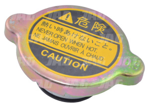 3134146R1 Korek chłodnicy