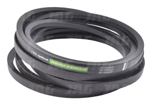 AP1000859 Pas Optibelt Agro Power