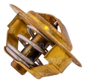 2485C021 Termostat