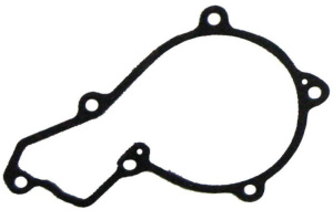 JAG99-1418 Uszczelka pompy wody, JOHN DEERE R504885 R119383