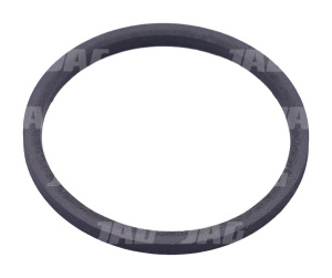 A159295 Pierścień uszczelniający, CASE IH A159295