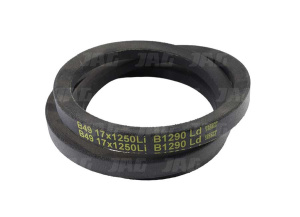 17x1250Li/1290Ld B49 Pas klinowy GATES DELTA CLASSIC, AGCO 621262M1 1616477M1